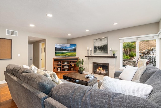 living room featuring a fireplace and wood-type flooring