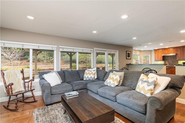 living room with light wood-type flooring