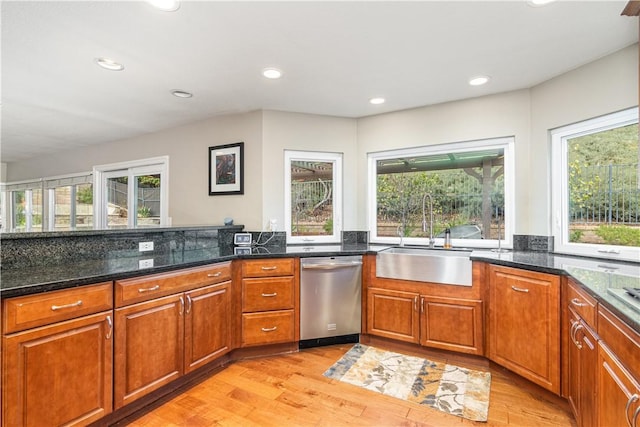 kitchen featuring dishwasher, light hardwood / wood-style floors, a healthy amount of sunlight, and sink