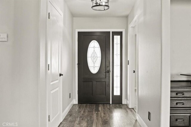 foyer entrance featuring dark hardwood / wood-style flooring