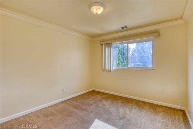 spare room with carpet and crown molding