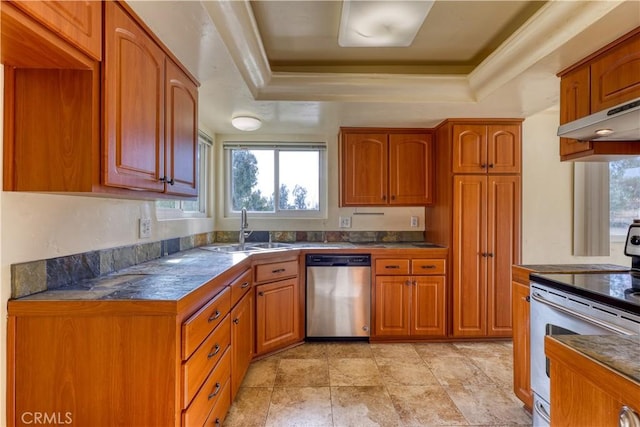 kitchen with a tray ceiling, sink, stainless steel appliances, and ventilation hood