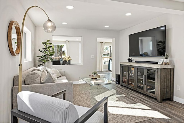 living room featuring dark hardwood / wood-style floors