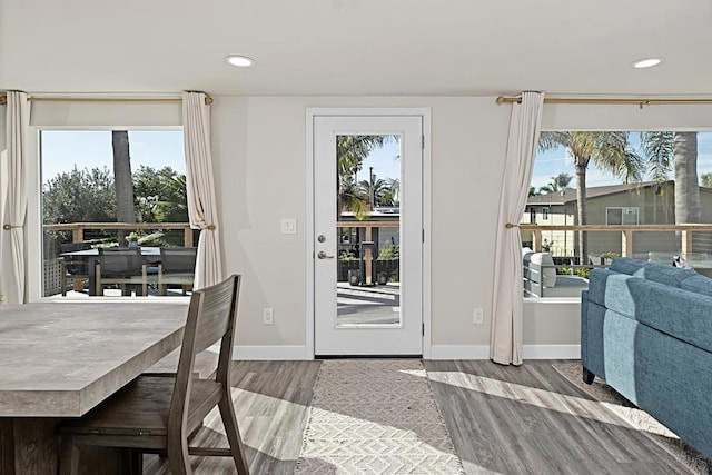 entryway with plenty of natural light and wood-type flooring