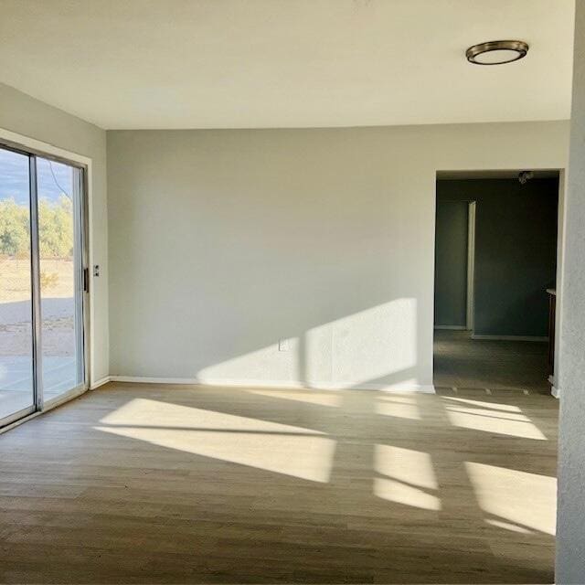 empty room featuring wood-type flooring