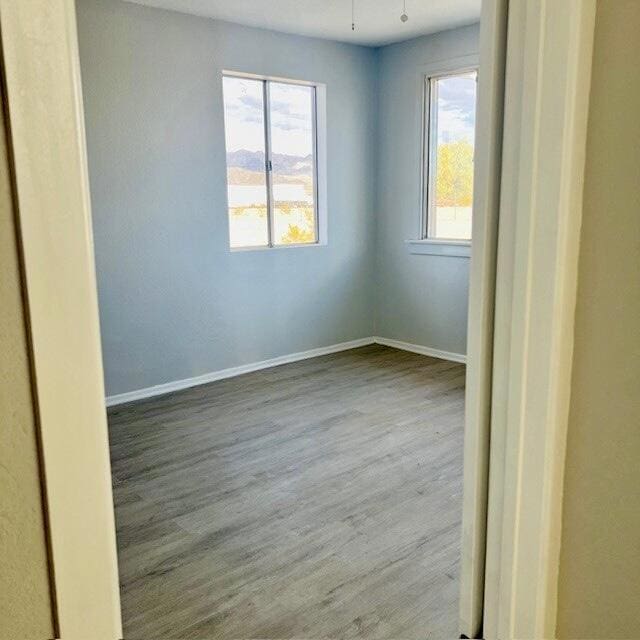 spare room with wood-type flooring, plenty of natural light, and ceiling fan