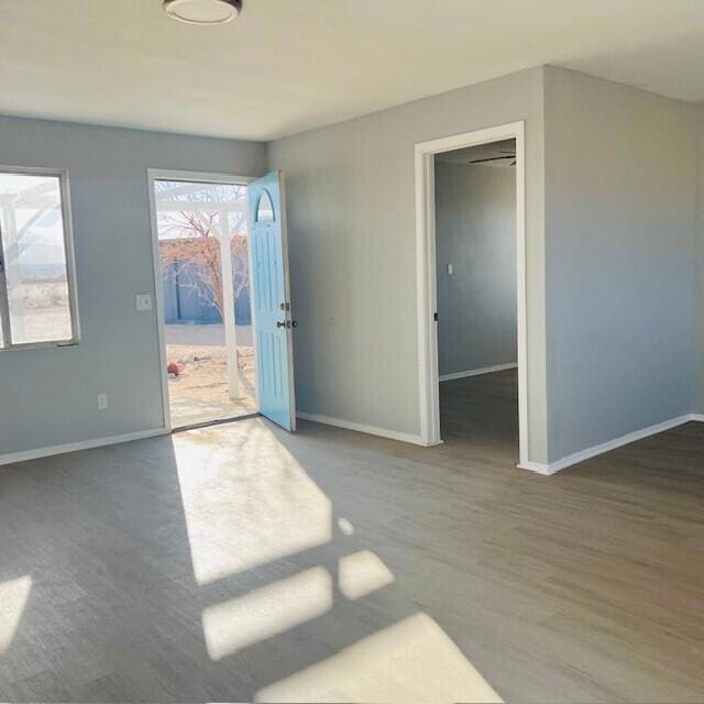 empty room with hardwood / wood-style floors