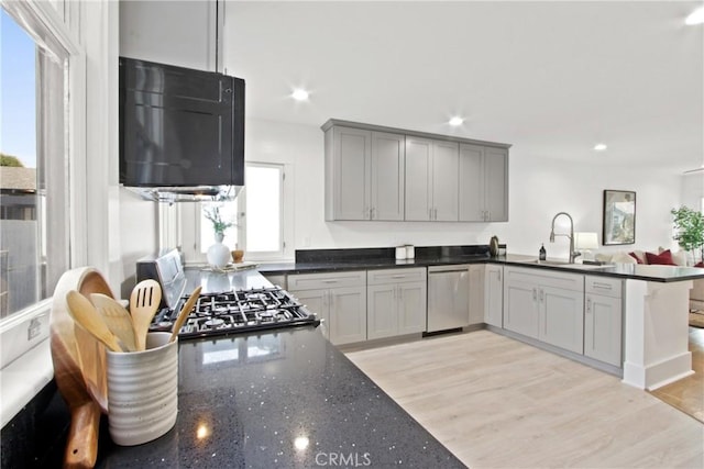 kitchen with gray cabinets, light hardwood / wood-style floors, sink, and appliances with stainless steel finishes