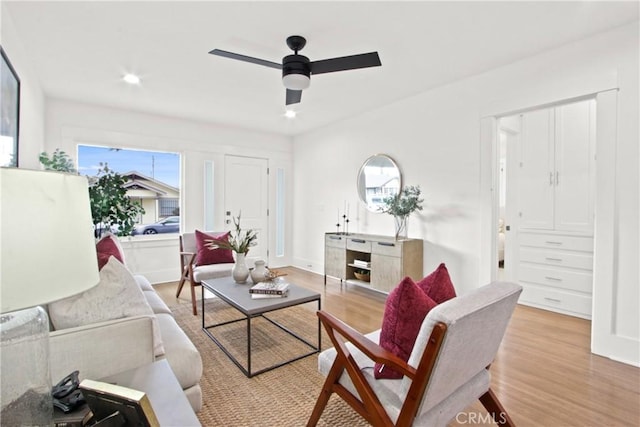 living room with ceiling fan and light hardwood / wood-style flooring