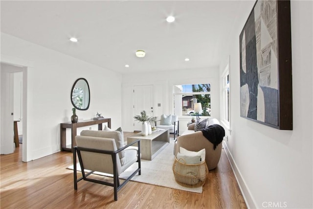 living room featuring light hardwood / wood-style floors