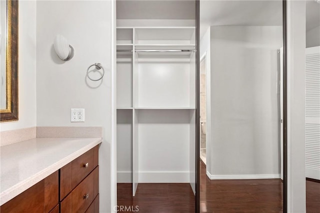 bathroom with baseboards, a walk in closet, wood finished floors, and vanity