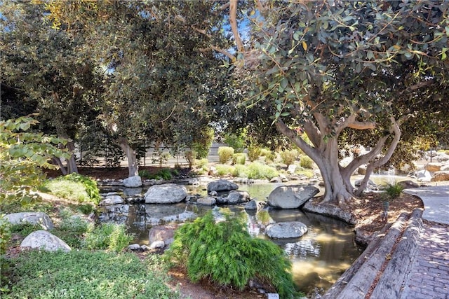 view of yard featuring a garden pond