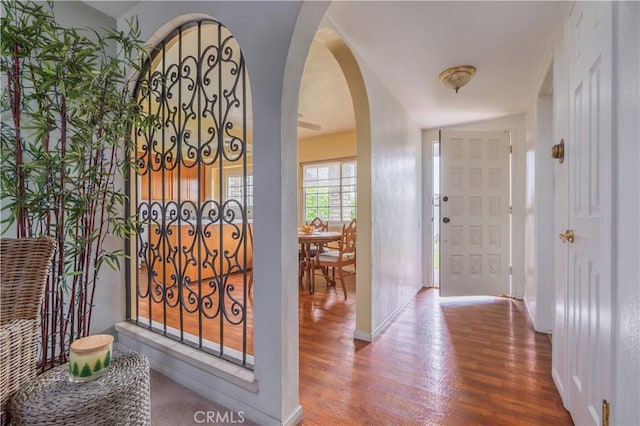 entryway with hardwood / wood-style floors