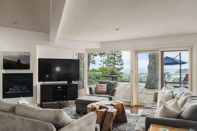 living room featuring hardwood / wood-style flooring