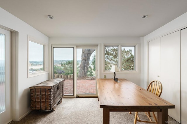 view of carpeted office space