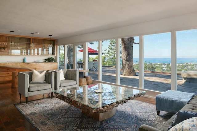 living room with dark hardwood / wood-style flooring and a water view