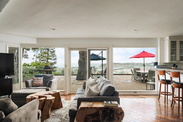 living room featuring hardwood / wood-style flooring