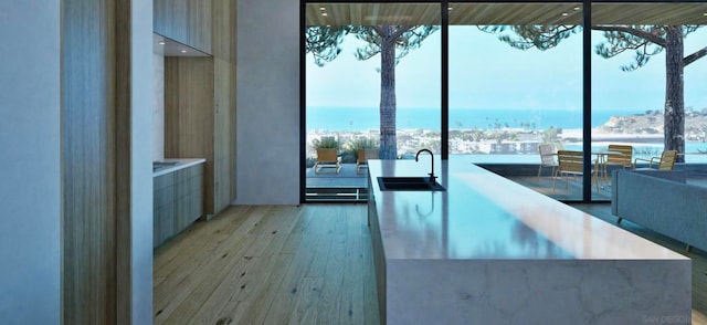 interior space featuring light wood-type flooring, a water view, a wealth of natural light, and sink