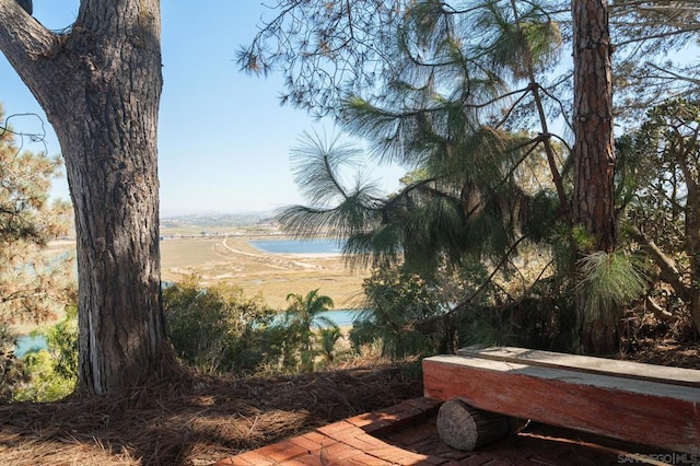 view of yard featuring a water view