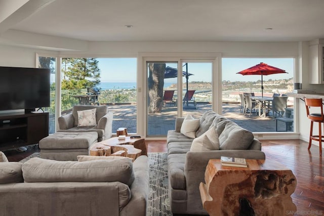 living room featuring wood-type flooring and a water view