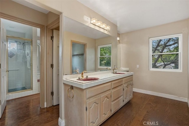 bathroom with hardwood / wood-style floors, vanity, and a wealth of natural light