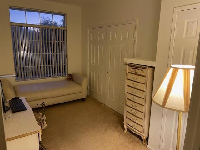 living area featuring light colored carpet