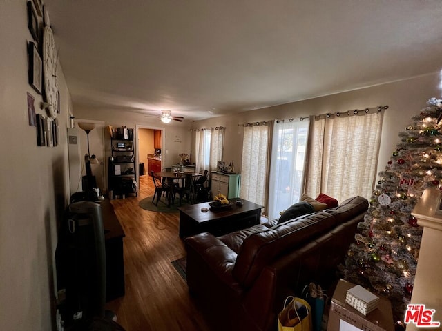 living room with ceiling fan and hardwood / wood-style flooring