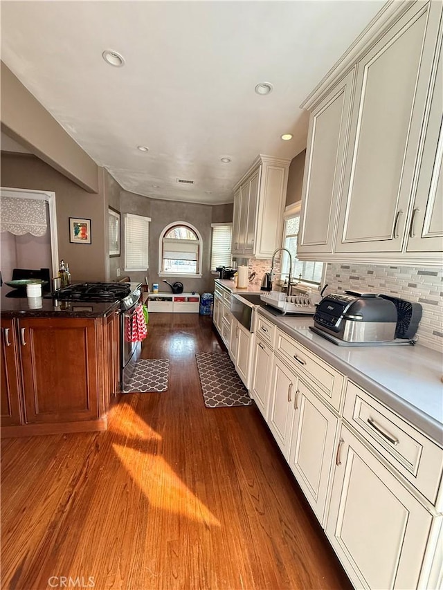 kitchen featuring decorative backsplash, hardwood / wood-style floors, plenty of natural light, and sink