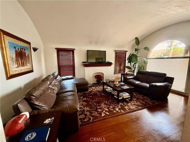 living room featuring lofted ceiling and dark wood-type flooring