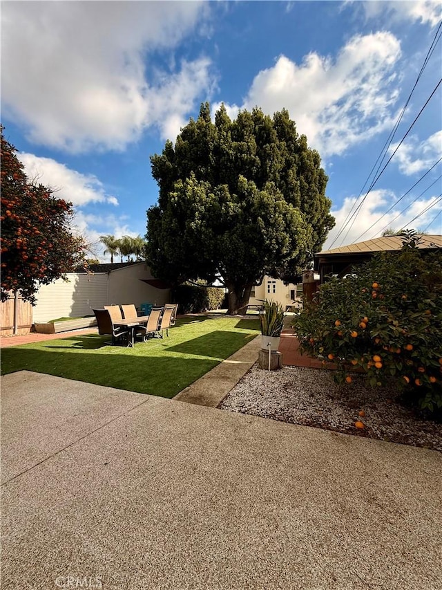 view of yard featuring a patio area