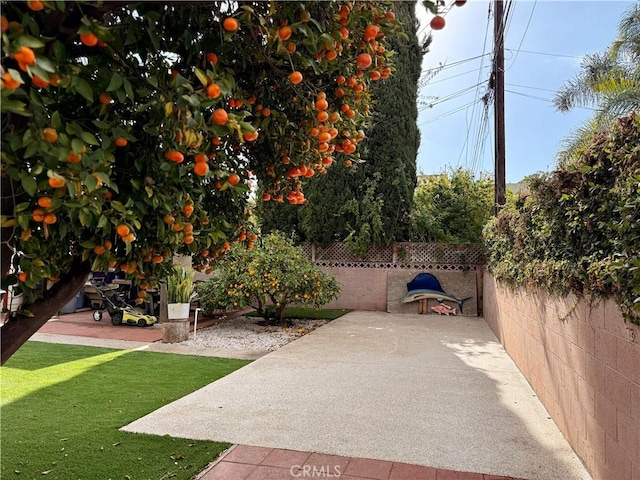 view of yard featuring a patio