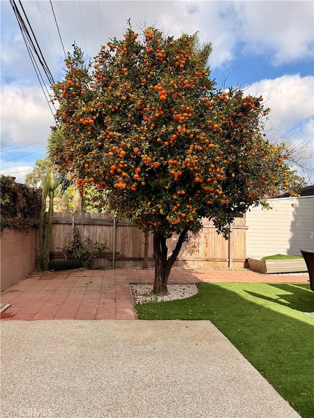 view of yard featuring a patio area