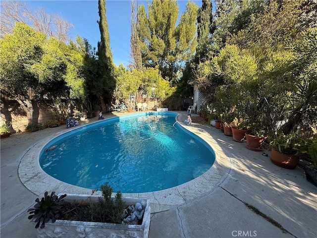 view of swimming pool with a patio