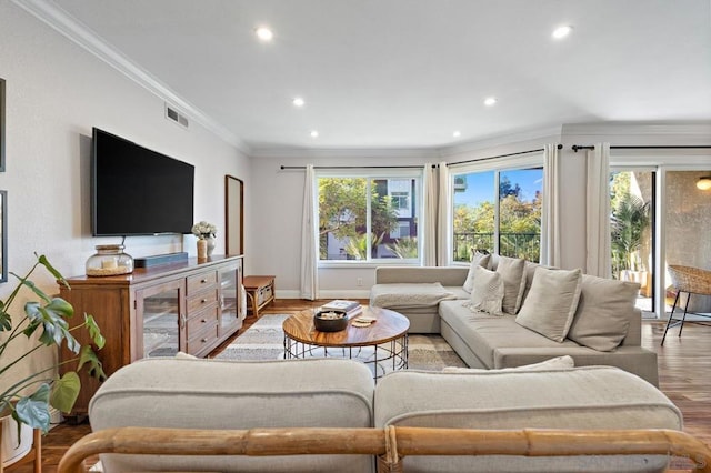 living room featuring light wood-type flooring, plenty of natural light, and crown molding