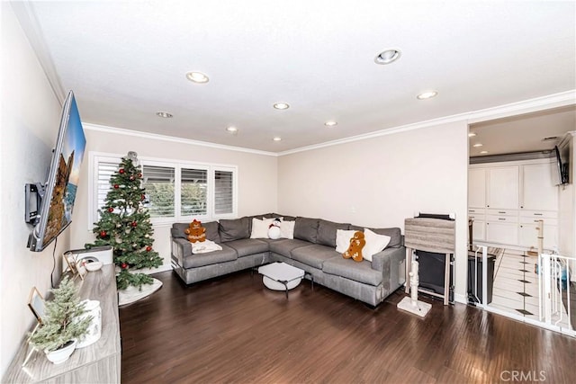 living room featuring crown molding and dark wood-type flooring