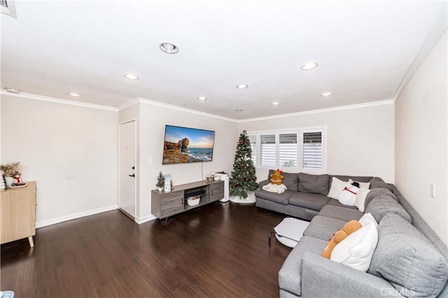 living room featuring crown molding and dark hardwood / wood-style flooring