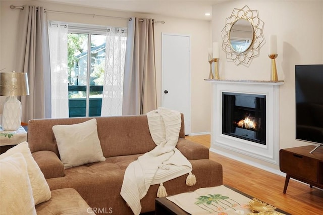 living room with hardwood / wood-style floors