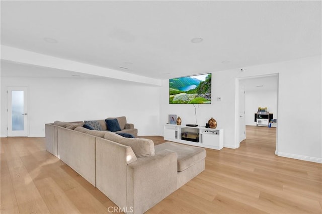 living room featuring light hardwood / wood-style flooring