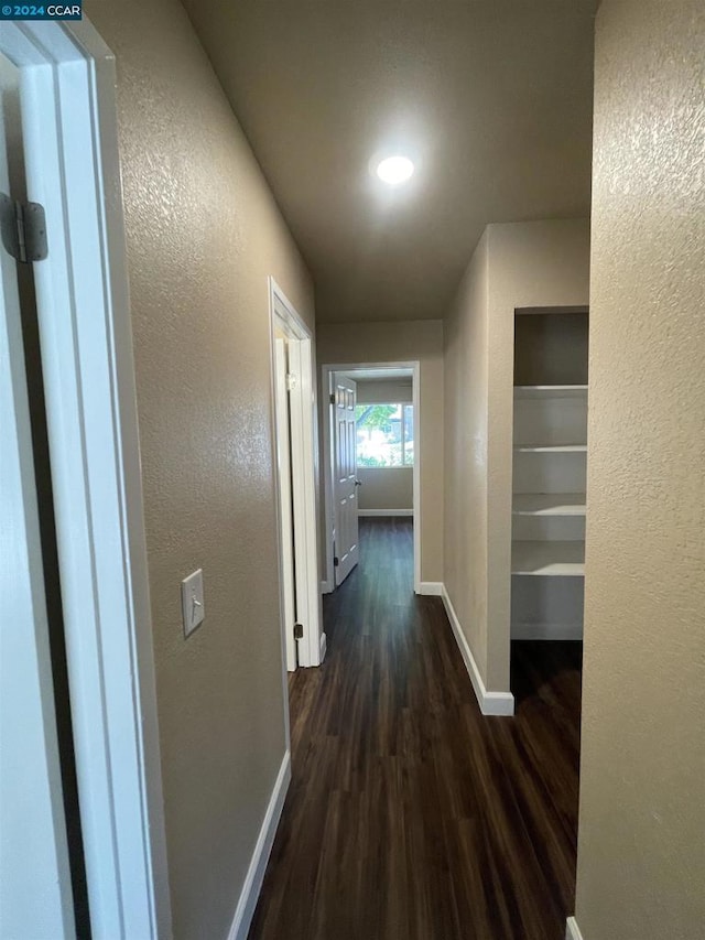 hallway featuring dark hardwood / wood-style flooring