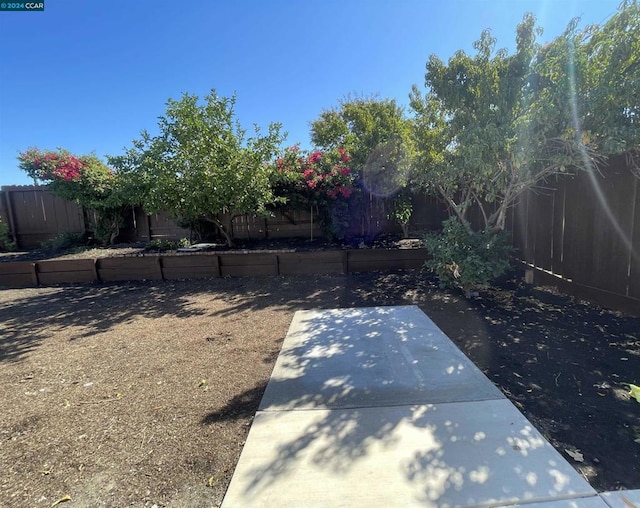 view of yard with a patio