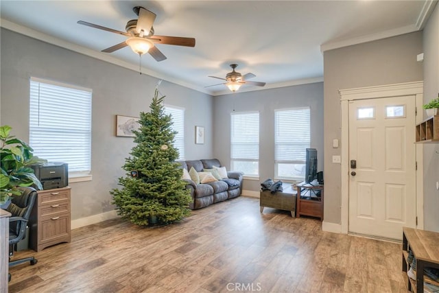 interior space featuring crown molding, ceiling fan, and light hardwood / wood-style flooring