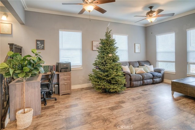 home office featuring light hardwood / wood-style flooring, a wealth of natural light, and ornamental molding