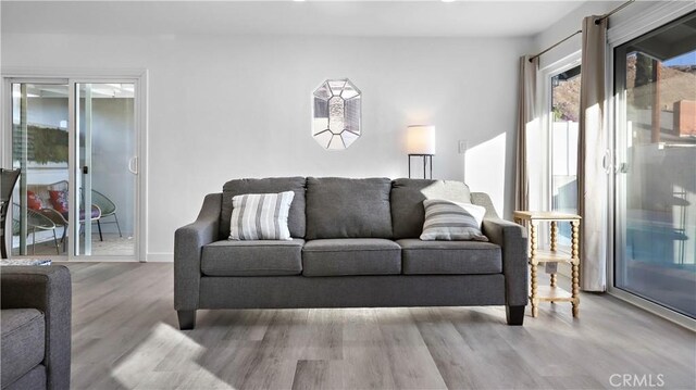 living room with light wood-type flooring