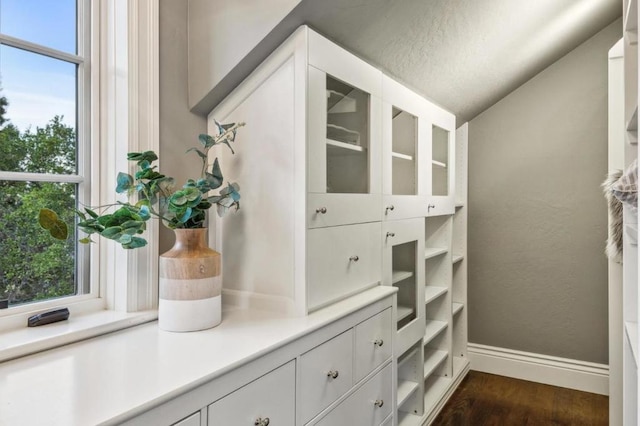 spacious closet with dark wood-type flooring and vaulted ceiling