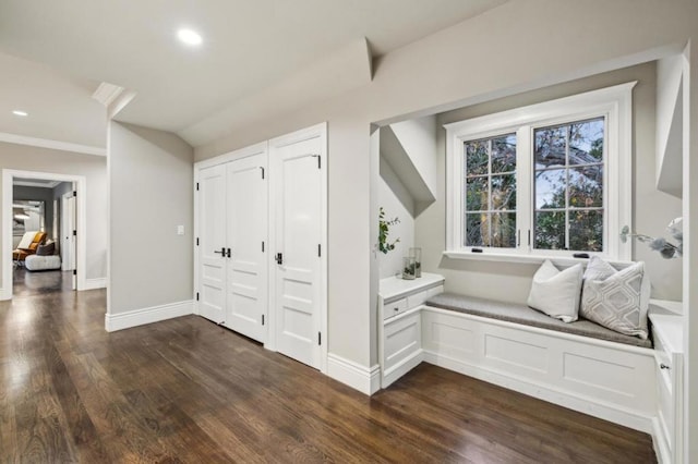 interior space featuring crown molding and dark hardwood / wood-style floors