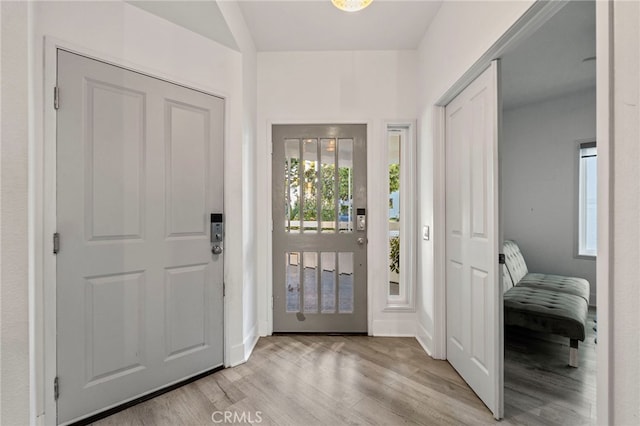 entrance foyer with light hardwood / wood-style flooring