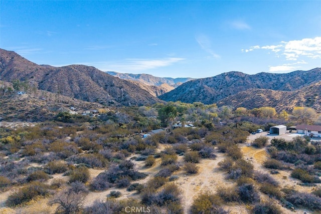52324 Canyon Rd, Morongo Valley, CA 92256 - photo 61