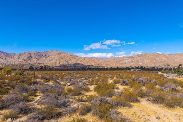 52324 Canyon Rd, Morongo Valley, CA 92256 - photo 56