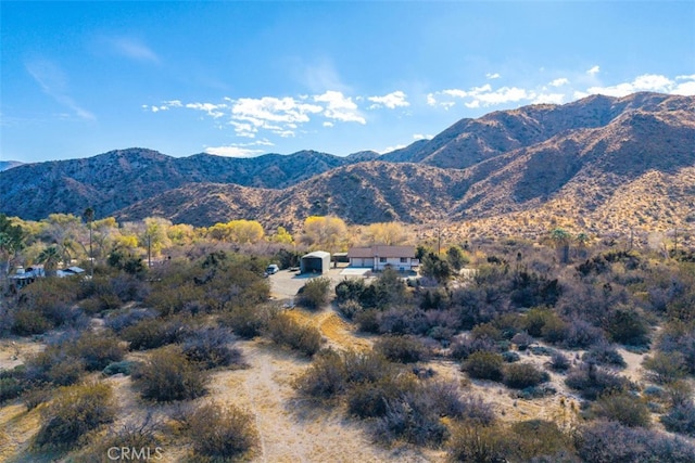 52324 Canyon Rd, Morongo Valley, CA 92256 - photo 60