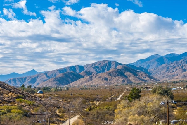 52324 Canyon Rd, Morongo Valley, CA 92256 - photo 49
